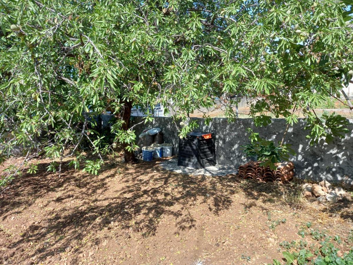 הוילה Kuca Za Odmor Ljubica שיבניק מראה חיצוני תמונה